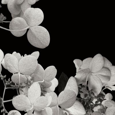 Premium Photographic Print, , small