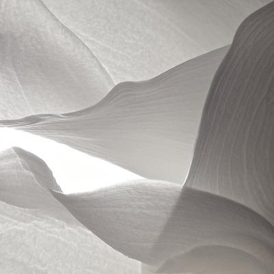 Premium Photographic Print, , small