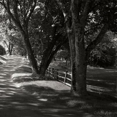 Premium Photographic Print, , small