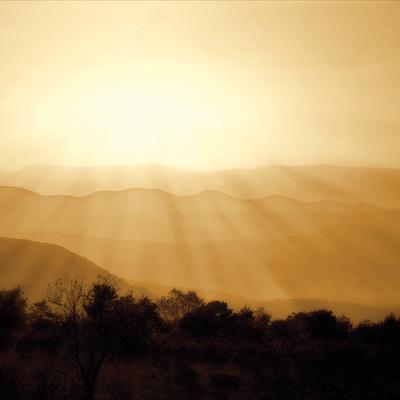 Premium Photographic Print, , small