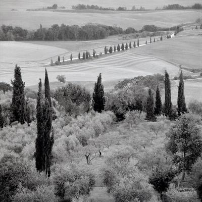 Premium Photographic Print, , small