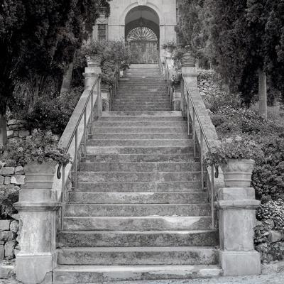 Premium Photographic Print, , small