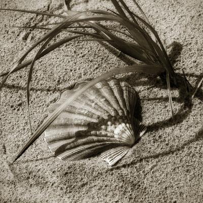 Premium Photographic Print, , small