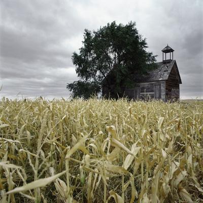 Premium Photographic Print, , small