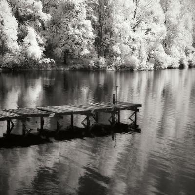 Premium Photographic Print, , small