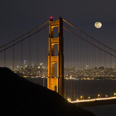 Premium Photographic Print, , small