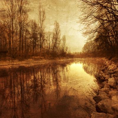 Premium Photographic Print, , small