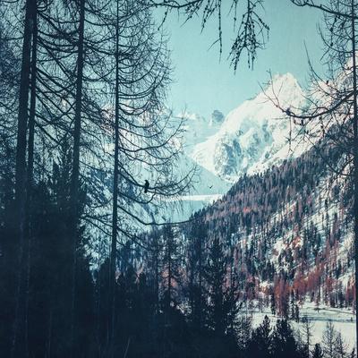 Premium Photographic Print, , small