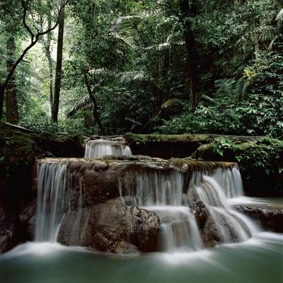 Premium Photographic Print, , small