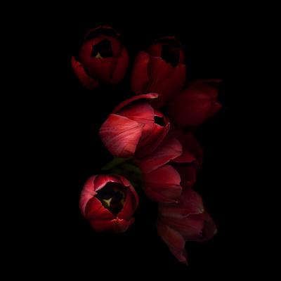Premium Photographic Print, , small