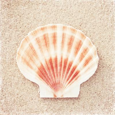 Premium Photographic Print, , small