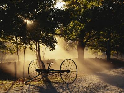 Premium Photographic Print, , small