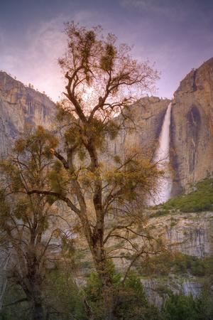 Premium Photographic Print, , small