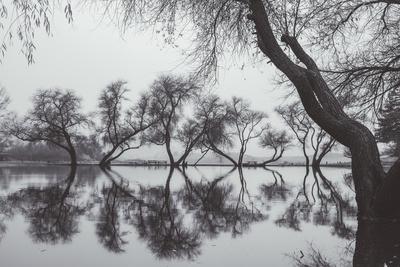 Premium Photographic Print, , small