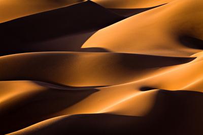 Premium Photographic Print, , small