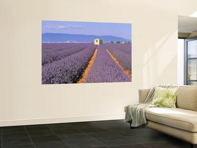 Premium Giclee Print, , small