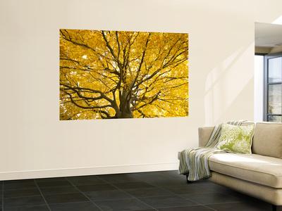 Premium Giclee Print, , small