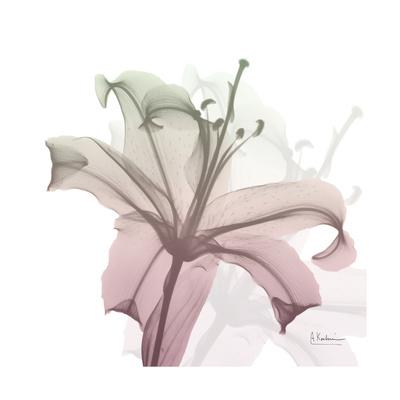 Premium Giclee Print, , small