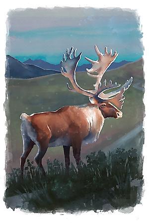 Art Print, , small