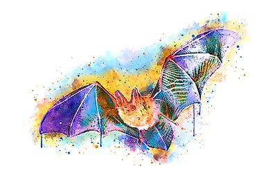 Art Print, , small