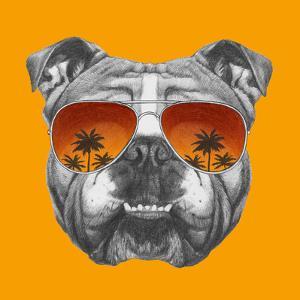 original drawing of english bulldog with mirror sunglasses isolated on colored backgroundvictoria_novak