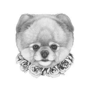 original drawing of pomeranian dog with roses isolated on white backgroundvictoria_novak